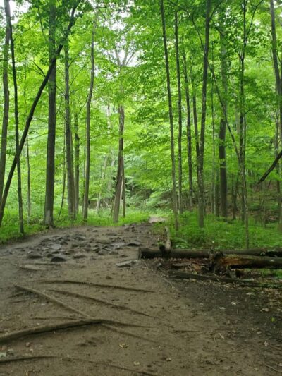 Lake Redstone County Park - La Valle, WI