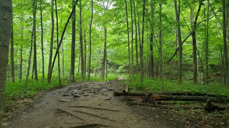 Lake Redstone County Park - La Valle, WI