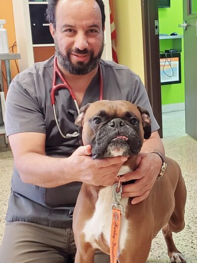 Good Samaritan Animal Clinic - La Vergne, TN