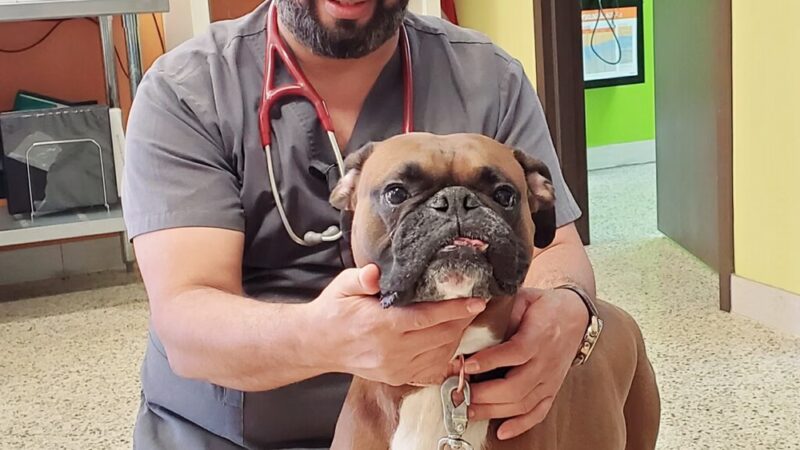 Good Samaritan Animal Clinic - La Vergne, TN