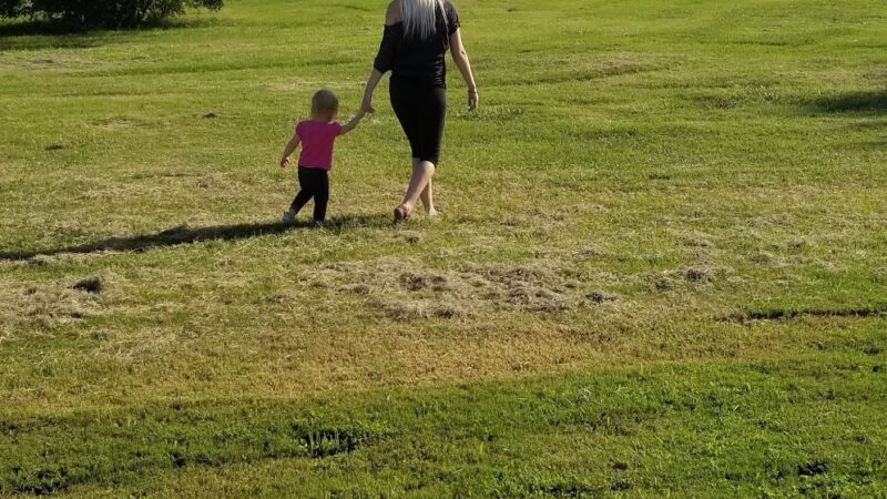 Lake Forest Park - La Vergne, TN