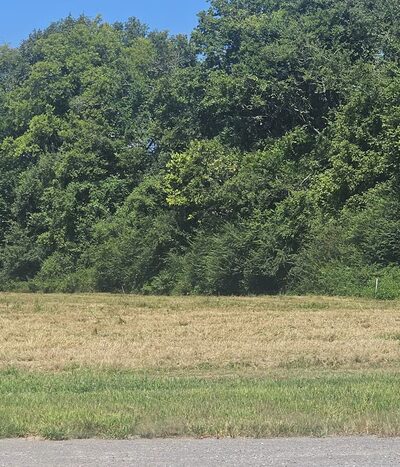 Percy Priest WMA - Trial Field area - La Vergne, TN