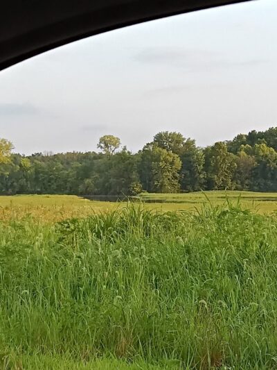 Percy Priest WMA - Trial Field area - La Vergne, TN