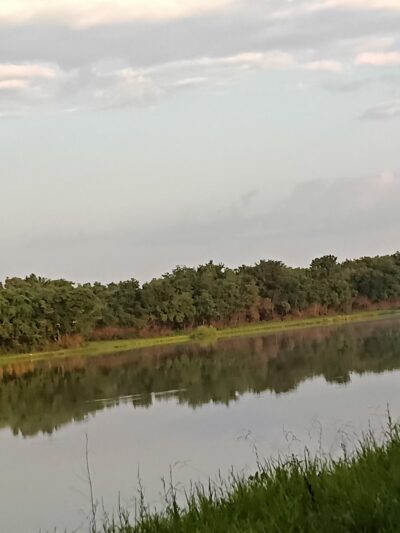 Percy Priest WMA - Trial Field area - La Vergne, TN