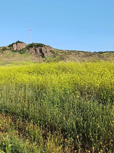 San Dimas Hiking - La Verne, CA