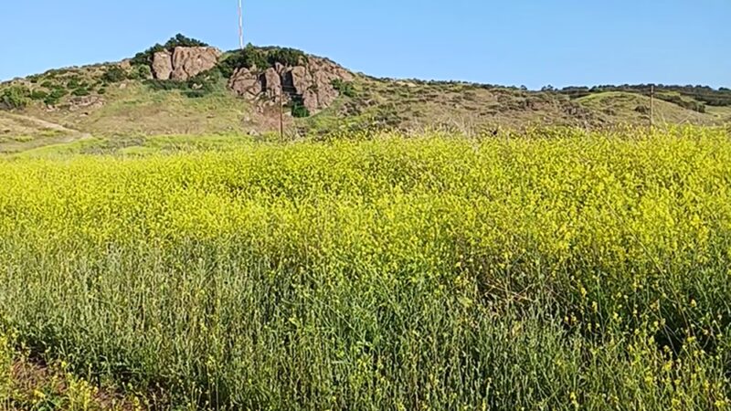 San Dimas Hiking - La Verne, CA