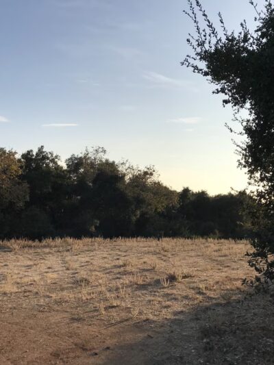 Golden Hills Wilderness Park - La Verne, CA