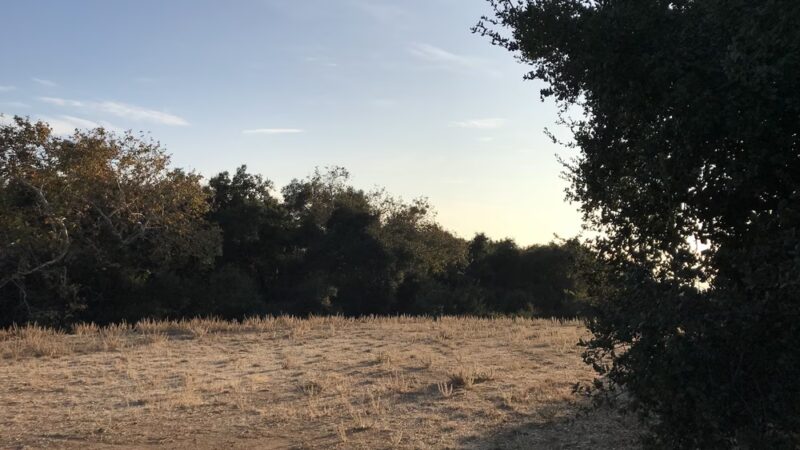 Golden Hills Wilderness Park - La Verne, CA