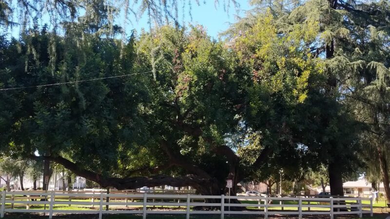 Kuns Park - La Verne, CA