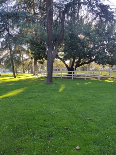 Kuns Park - La Verne, CA