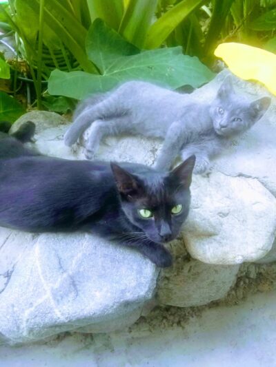 La Verne University Baseball Complex - La Verne, CA