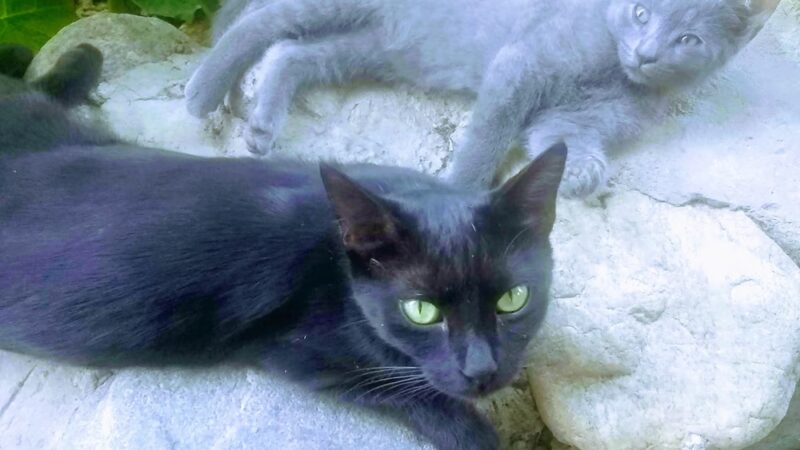 La Verne University Baseball Complex - La Verne, CA