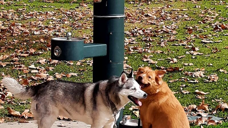 Lincoln Park - La Verne, CA