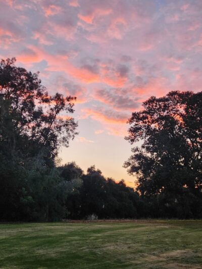 Los Encinos Park - La Verne, CA