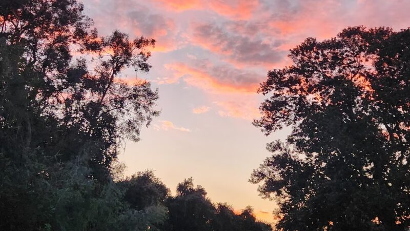 Los Encinos Park - La Verne, CA