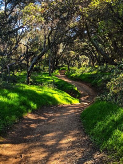 Marshall Canyon Regional Park - La Verne, CA