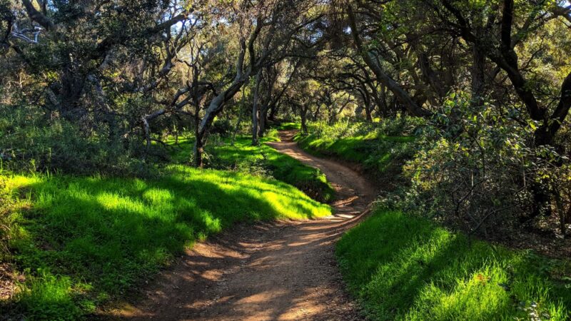 Marshall Canyon Regional Park - La Verne, CA