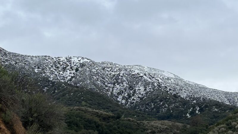 Marshall Canyon Regional Park - La Verne, CA