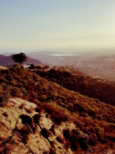 Marshall Canyon Regional Park - La Verne, CA