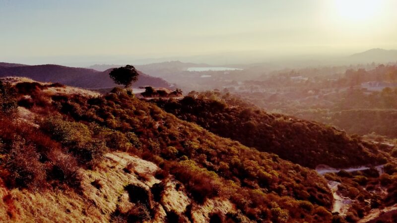 Marshall Canyon Regional Park - La Verne, CA