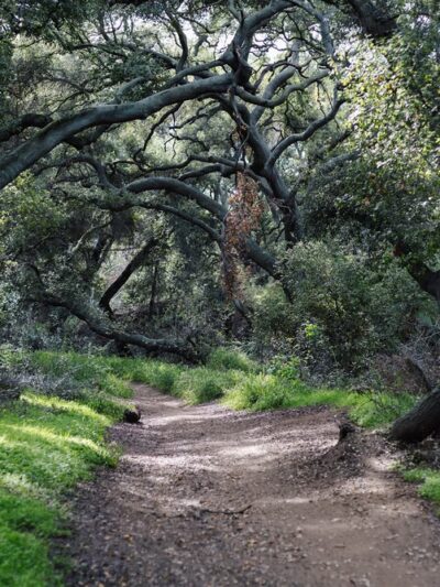 Marshall Canyon Trail - La Verne, CA