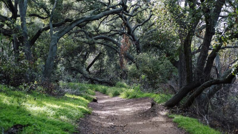 Marshall Canyon Trail - La Verne, CA