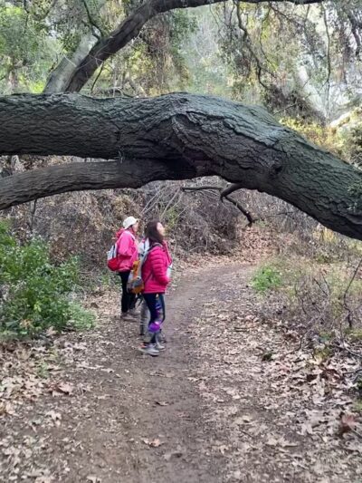 Marshall Canyon Trail - La Verne, CA