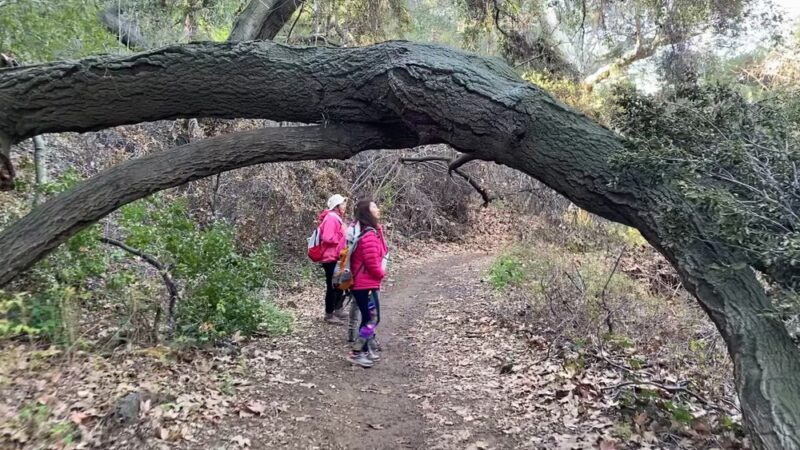 Marshall Canyon Trail - La Verne, CA