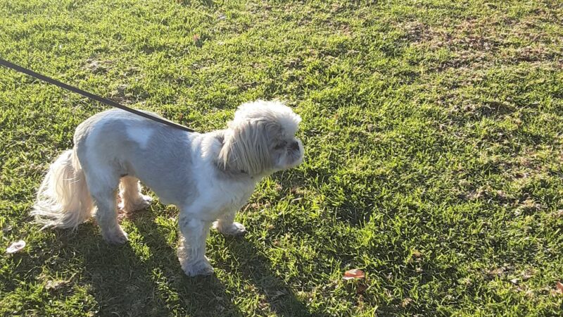 Mills Park - La Verne, CA