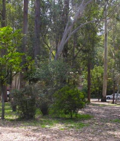 Rustic Canyon Park - La Verne, CA