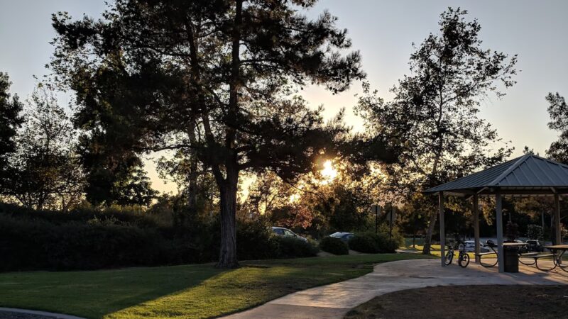 Soccer Games (Live Oak Park) - La Verne, CA