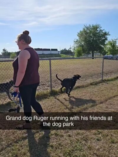 LaBelle Dog Park - LaBelle, FL