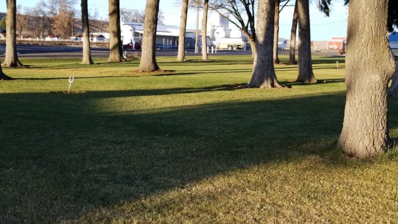 LaCrosse Town Park - LaCrosse, WA