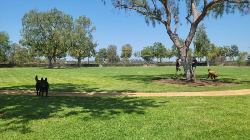 Wagsdale Dog Park (Private-access) - Ladera Ranch, CA