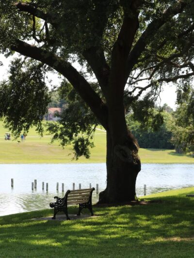 Golfview Lake Park in The Villages - Lady Lake, FL