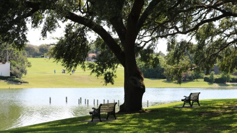 Golfview Lake Park in The Villages - Lady Lake, FL