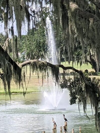 Golfview Lake Park in The Villages - Lady Lake, FL