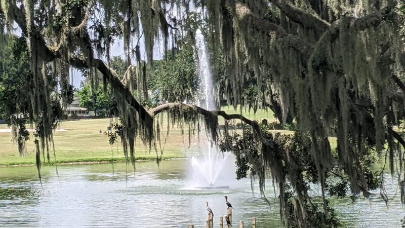 Golfview Lake Park in The Villages - Lady Lake, FL