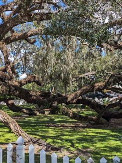 Heritage Park - Lady Lake, FL