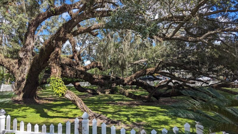 Heritage Park - Lady Lake, FL