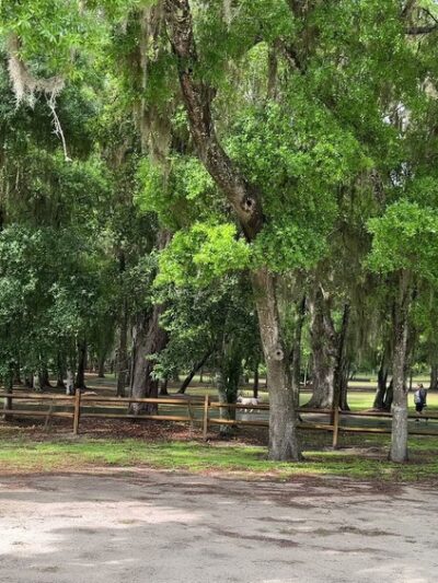 Snooky Park - Lady Lake, FL