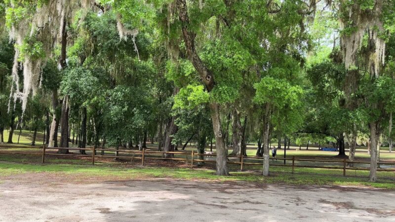 Snooky Park - Lady Lake, FL