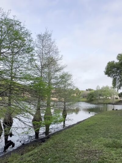 The Veterans Memorial Park of the Villages - Lady Lake, FL