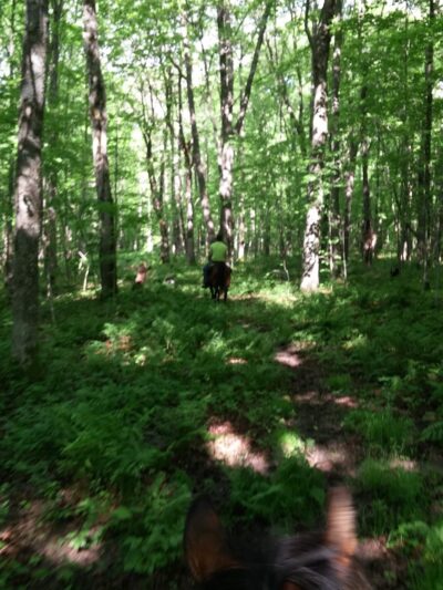 Copper Park Equestrian Trails - Ladysmith, WI