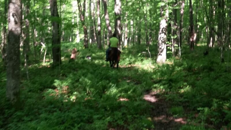 Copper Park Equestrian Trails - Ladysmith, WI