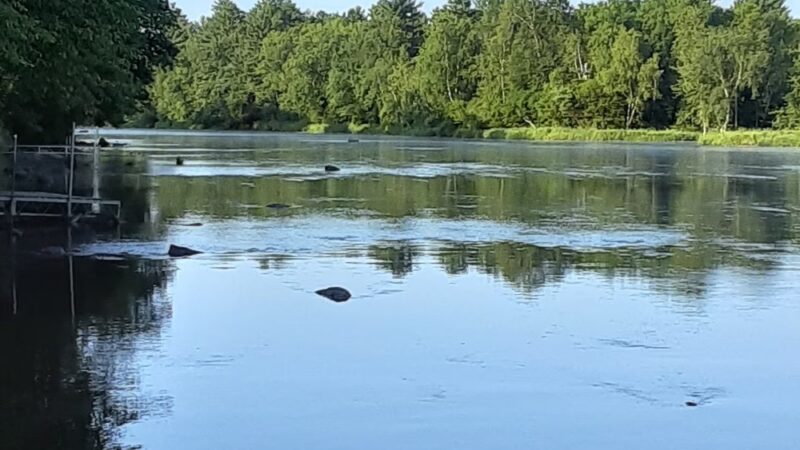 East River Run Campground - Ladysmith, WI