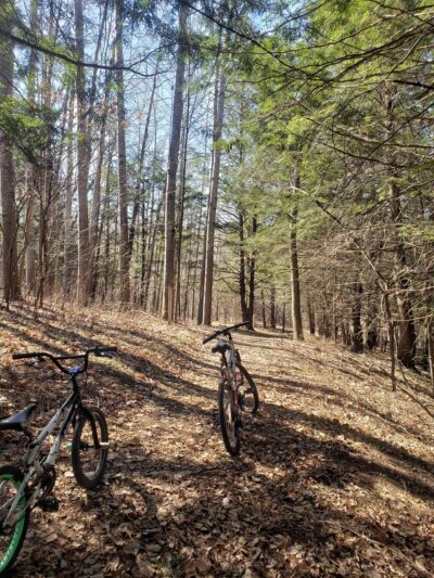 Riverview Trail - Ladysmith, WI