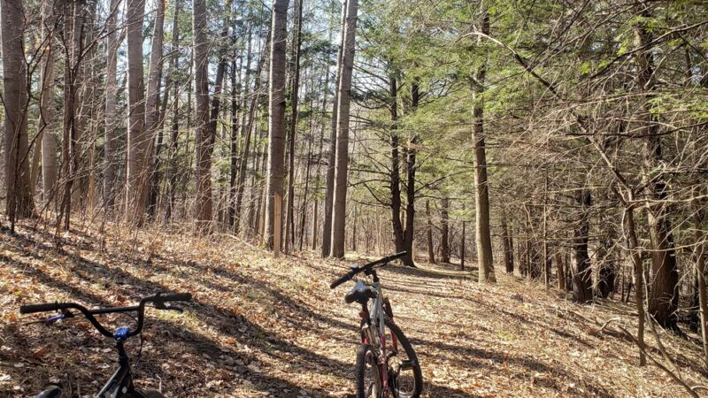 Riverview Trail - Ladysmith, WI