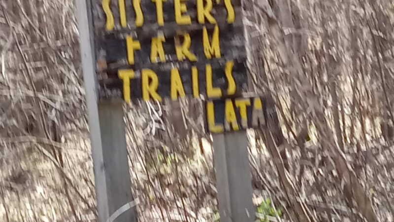 Sisters Farm Trail System - Ladysmith, WI