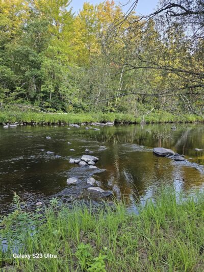 Thornapple River Campground - Ladysmith, WI